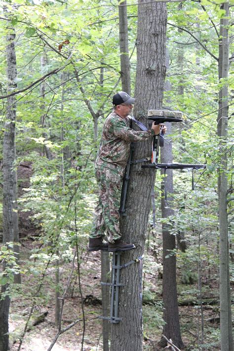 hunting archer 廣州|Setting Up a Tree Stand for Archery Hunting: Do’s and Don’ts